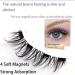 Lumentes Magnetic Eyelashes Lumentes Reusable Magnetic Eyelashes Magnetic Eyelashes Without Eyeliner Flawless Magnetic Eyelashes Eyelashes Magnetic Without Eyeliner Lashes Eyes Beauty (HPD06-4) - Buy Online on SooperMarket.com