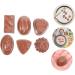 HOMSFOU 24 Pcs Simulation Chocolate Decorative Chocolate Decor Fake Candy Cake Decorating Fake Cookies Kids Bulk for Desserts Desktop Fake Chocolate Artificial Children's Products Pvc 3d Coffeex4pcs 3.9X2.8X1.8CMx4pcs - Buy Online on SooperMarket.com
