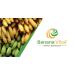 Banana Vital Simply Bananas Fruit Bar - Shelf-Stable, Gluten-Free, Vegan, Non-GMO - 18 Count (30g) Bars - Original Banana Flavor - Buy Online on SooperMarket.com