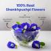 BLUE TEA - Shankhpushpi Flower - 30 Pyramid Tea Bags | For Food Iced Tea Cooler Cocktails Mocktails | Caffeine Free Herbal Tea l Gluten Free NON-GMO|Premium Pet Jar| - Buy Online on SooperMarket.com