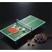 Mini Table Tennis Board Portable Desktop Ping Pong Table for Outdoor Outing or Indoor Large Size