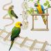CAMITER 8 Packs Bird Toys Parrots Cage Toys Natural Wood Hanging Swing Shredding Chewing Perches Parrot Toy Parrot Bite Toy for Budgie Parakeet Cockatiel Macaw - Buy Online on SooperMarket.com