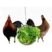 Fewao Stainless Rabbits Feeding Grass Ball Sphere Treat Hay Feeder Dispenser Hanging Ball Rabbit Chinchilla Guinea Pig Chicken Toys for Small Animals - Buy Online on SooperMarket.com