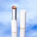 Beekman 1802 Goat Milk Tinted Lip Cream SPF 15 - Fragrance Free Elderberry & Niacinamide - Hydrating for Sensitive Skin - Cruelty-Free | Spicy Nudey Shade - Buy Online on SooperMarket.com