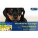 Small upto 6 kg - Johnsons One Dose Easy Wormer Tablet Worming Dogs Dewomer - Buy Online on SooperMarket.com