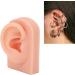 Socobeta Flexible Human Ear Model - Reusable Fake Ear for Acupuncture & Earrings Display (Light Complexion) - Buy Online on SooperMarket.com