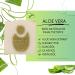Natural Aloe Vera Soap - 100% Natural & Handmade - Certified Skin Care for All Skin Types - 100g Pack - Buy Online on SooperMarket.com