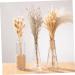 Cabilock Natural Dried Flowers 30 Pcs Natural Artificial Flower Decorative Artificial Flower As Shownx2pcs mediumx2pcs - Buy Online on SooperMarket.com