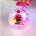 U-K Flash Ball Toy 2 Pieces Ghost Flashing Balls Light Up Cat Dog Balls Toy Paranormal Equipment Pet Balls Toy Useful and Nice - Buy Online on SooperMarket.com