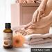Fractionated Coconut Oil 50ml - 100% Pure & Natural Odorless Beauty Oil for Skin Hair & Massage - Best Essential Oil for Body & Facial Care - Buy Online on SooperMarket.com