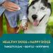 The Healthy Dog Co Spot On Flea and Tick Treatment for Dogs 100ml - Buy Online on SooperMarket.com