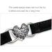 AIXI Cat Collar with Safety Belt and Bell - Heart Bling Design - 8-11 Inches - Black - Buy Online on SooperMarket.com