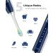 7AM2M Sonic Electric Toothbrush with 6 Brush Heads for Kids and Children One Charge for 90 Days Wireless Fast Charge 5 Modes with 2 Minutes Build in Smart Timer Electric Toothbrushes(Navy Blue) - Buy Online on SooperMarket.com
