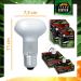 Terra Exotica 75W Heat Spot Bulb for Reptiles - 3 Pack Terrarium Lighting - Optimal Heat for Reptile Habitats - 25W 40W 60W 100W 150W Options Available - Buy Online on SooperMarket.com