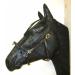 Buy PS Horse French Cavesson Cavecon with D-Rings - Soft Full Brown with Gold Fittings | International Shipping Available - Buy Online on SooperMarket.com