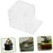 Toddmomy 4pcs Pet Water Feeder Small Ants Feeder Ants Habitat Water Feeding Ants Watering Cup Plastic - Buy Online on SooperMarket.com