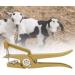 iFCOW Alloy Livestock Ear Tag for Farm Animals - Cow, Sheep, Rabbit - Buy Online on SooperMarket.com