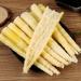 Fresh Bamboo Shoots with Mountain Peppers Bamboo Shoots with Pickled Peppers 200g/bag Instant Snacks Snacks and Snack Food Bamboo Shoot Tip Tender Bamboo Shoots Crispy Bamboo Shoots (3 pack) - Buy Online on SooperMarket.com