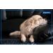 ADAPTIL Refill - Calms & Comforts Dogs at Home When Home Alone or During Loud Noises & Stressful Events - Use ADAPTIL for Dogs with ADAPTIL Diffusers (30 Day Supply ADAPTIL Refill C133) - Buy Online on SooperMarket.com