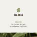 Every Man Jack Tea Tree Men's Thickening 2-in-1 Shampoo & Conditioner | Restore Thickness Cleanse & Condition | Naturally Derived Paraben & Dye Free - Shop Internationally - Buy Online on SooperMarket.com