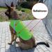Reflective Dog Warning Vest - Safety Jacket with Lining Fabric | Robust Sizes in Neon Green for Enhanced Visibility - Buy Online on SooperMarket.com