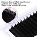 Fadlash Volume Eyelashes - Easy Fan 0.03mm D Curl 10mm Self-Fleeding Extensions for Effortless Lash Fanning - Buy Online on SooperMarket.com