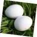 BCOATH 60 Pcs Water Injection Fake Pigeon Eggs White Fake Eggs Parrot Eggs Compact Eggs Breeding Props Craft Eggs for Painting Artificial Eggs Toy Eggs Supplies Meat Pigeon Plastic Whitex2pcs 2.9X4.1CMx2pcs - Buy Online on SooperMarket.com