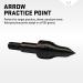 TenPoint Crossbow Arrow Practice Points 100-Grain 6-Pack - Buy Online on SooperMarket.com