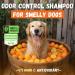 Kelebs Sensitive Dog Shampoo - Vegan Citrus Soap for Puppies | Lavender & Oatmeal | 3 Pack | Natural Dog Care - Buy Online on SooperMarket.com