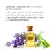 Riciniol Bright Eyes: Castor Oil Emulsion with Vitamin C & E, Lavender Essential Oil - 15ml for Eyelash & Eyebrow Growth - Buy Online on SooperMarket.com