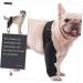 GANAZONO Dog Hindleg Cover Dog Knee Leg Canine Rear Hock Hind Leg Mesh Fabric Comfortable M 1 - Buy Online on SooperMarket.com