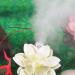 POPETPOP Atomizing Heads Automatic Mist Maker 5pcs Fogger Fountain Pond Fog Machine Head 16mm Air humidifier White 12 2CM - Buy Online on SooperMarket.com