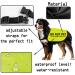 Do Not Pet No Hand Sniffs Dog Jacket Vest Nervous Anxious Dog Slogan Warning Vest (NO HAND SNIFFS Medium) NO HAND SNIFFS M EU - Buy Online on SooperMarket.com