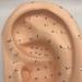 Ear Acupuncture Template Template - Human Giant Ear Acupuncture Template - Chinese Medicine Ear Pattern - Buy Online on SooperMarket.com