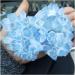 Blue Ghost Phantom Quartz Crystal Cluster Specimen Decoration Gift FZUGEDRLI - Buy Online on SooperMarket.com