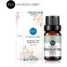 Eucalyptus Essential Oil 100% Pure Natural Aromatherapy Eucalyptus Oil for Diffuser (10ML) - Buy Online on SooperMarket.com