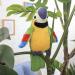 Talking Parrot Interactive Plush Toy - Funny Gift for Kids - Green - Buy Online on SooperMarket.com