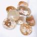 Crystal Rough 1pc raw Natural Rough Uncut Agate Quartz Crystal Gemstone for Astrology - Buy Online on SooperMarket.com