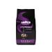 Lavazza Tierra Wellness Ground Coffee - Perfect for Mokka Kanne & Espresso Italiano Cremoso | Arabica & Robusta Beans Bundle - Buy Online on SooperMarket.com