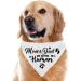 Gender Reveal Pet Scarf Set for Dog Lovers - Pack of 2 - Buy Online on SooperMarket.com