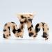 Large Tortoise Shell Claw Clips 3.5 Inch - Checkered French Design Hair Jaw Clamp for Women - 2 Pack - Buy Online on SooperMarket.com