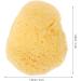 Baluue Natural Facial Sponge Round Cleansing Sponge Cosmetic Removal Sponge Portable Sponge for Facial Cleansing Exfoliating Makeup Removal - Buy Online on SooperMarket.com