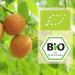 Herbal Land Bio Apricot Kernel Oil 250ml - Cold-Pressed Natural Cooking & Baking Oil | Premium Skin & Hair Cosmetics - Buy Online on SooperMarket.com