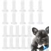 Shenrongtong K tzchnippel: 20-Piece Pet Still Nipple Feed Set for Kittens Puppies & Lizards - Transparent Bottle Nipple for Easy Feeding - Buy Online on SooperMarket.com