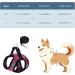 Ankilo Upgraded Harness with Leash Set Escape Proof Dog Vest Harnesses Vest Harnesses with Soft Mesh and Reflective Bands No Pull Small Dog Harness for Cats and Small Dogs (Rose-red S) - Buy Online on SooperMarket.com