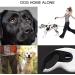 Durable Roll-Linen Dog Leash with Button Break & Lock - 5m Safety Leash for Dogs up to 40kg - Includes Bag Dispenser & Poop Pockets - Buy Online on SooperMarket.com