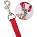 Felenny Bird Dishes & Leash - Adjustable Outdoor Accessories for Scarlet Macaw Sun Conure and Nymphensittich - Anti-Bite Protection (Large Red) - Buy Online on SooperMarket.com