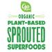 Go Raw Organic Pumpkin Seeds with Sea Salt - 14 oz | Keto, Vegan, Gluten-Free Superfood Snacks - Buy Online on SooperMarket.com