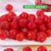 Cherry sweet and sour dried fruit Fresh snack cherries Candied candy fruit snacks candied fruit casual snacks delicious snack gifts (20bags) - Buy Online on SooperMarket.com