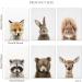 Forest Animals Poster Set - Set of 6 Children's Room Wall Art and Safari Decoration - Buy Online on SooperMarket.com